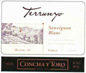 園中園艾米莉亞三角型莊園28長相思干白葡萄酒(Terrunyo El Triangulo Vineyard Sauvignon Blanc Block 28, Casablanca Valley, Chile)