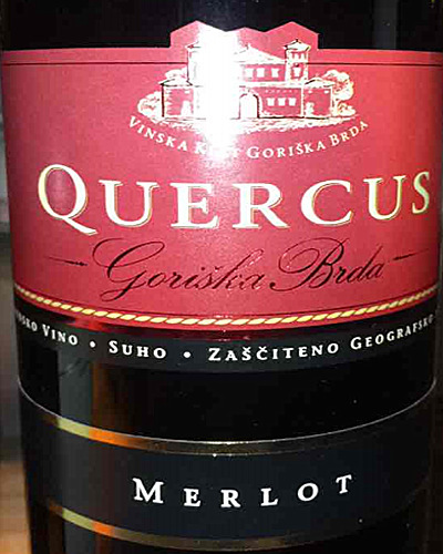 quercus merlot, goriska brda, slovenia