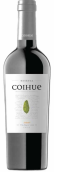 阿格莱歌汇珍藏西拉干红葡萄酒(De Aguirre Bodegas Vinedos Coihue Reserve Syrah, Maule Valley, Chile)