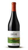 卡若蘭酒莊黑巴科紅葡萄酒(Caroline Cellars Baco Noir VQA, Ontario, Canada)