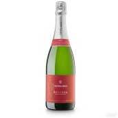 卡斯特羅伊酒莊天然極干型珍藏卡瓦起泡酒(Castellroig Brut Nature Reserva Cava, Catalonia, Spain)