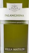 馬蒂爾德法蘭娜白葡萄酒(Villa Matilde Falanghina, Campania, Italy)