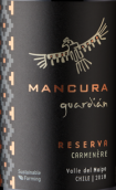 安第斯神鷹守護(hù)神佳美娜紅葡萄酒(Mancura Guardian Reserva Carmenere, Maipo Valley, Chile)