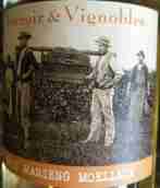 風(fēng)土葡萄園大滿勝半甜白葡萄酒(Terroir & Vignobles Gros Manseng Moelleux, IGP Cotes de Gascogne, France)