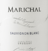 馬里夏酒莊長相思白葡萄酒(Marichal Sauvignon Blanc, Canelones, Uruguay)