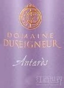 Domaine Duseigneur Lirac Antares, Rhone, France