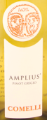 科梅利酒莊安普呂斯灰皮諾科林白葡萄酒(Comelli Amplius Pinot Grigio Colli Orientali del Friuli DOCG, Friuli-Venezia Giulia, Italy)