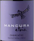 安第斯神鷹酒莊民族系列佳美娜紅葡萄酒(Mancura Etnia Carmenere, Central Valley, Chile)