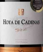 文森特·甘迪亞奧亞卡德納斯設拉子紅葡萄酒(Bodegas Vicente Gandia Hoya de Cadenas Shiraz, Utiel-Requena, Spain)