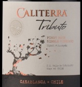 圣地酒莊致敬單一園黑皮諾紅葡萄酒(Caliterra Tributo Single Vineyard Pinot Noir, Casablanca Valley, Chile)