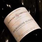 奇維龍酒莊阿里高特白葡萄酒(Domaine Robert Chevillon Bourgogne Aligote, Burgundy, France)