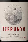 干露酒莊園中園佳美娜紅葡萄酒(Concha y Toro Terrunyo Carmenere, Cachapoal Valley, Chile)