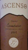 Verdi CH Ascenso Carmenere , Curico Valley, Chile