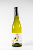 北風(fēng)酒莊維歐尼干白葡萄酒(Tramontane Viognier, IGP Cotes Catalanes, France)