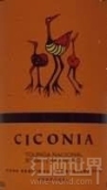 白鸛酒莊國(guó)產(chǎn)多瑞加-阿拉哥斯-西拉干紅葡萄酒(Ciconia Touriga Nacional-Syrah-Aragonez, Vinho Regional Alentejo, Portugal)