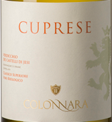 Colonnara Cuprese Verdicchio dei Castelli di Jesi Classico