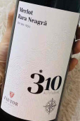 福托爾酒莊310海拔梅洛-黑巴貝薩卡紅葡萄酒(Fautor 310 Altitudine Merlot Rara Neagra, Valul lui Traian, Moldova)