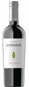 阿格莱歌汇珍藏赤霞珠干红葡萄酒(De Aguirre Bodegas Vinedos Coihue Reserve Cabernet Sauvignon, Maule Valley, Chile)