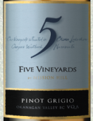 傳教山五園灰皮諾干白葡萄酒(Mission Hill Family Estate Five Vineyards Pinot Grigio, Okanagan Valley, Canada)