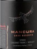 安第斯神鷹傳奇干紅葡萄酒(Mancura Leyenda Gran Reserva Syrah Cabernet Franc Merlot, Central Valley, Chile)