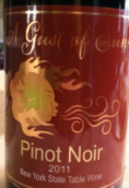 烈日黑皮諾干紅葡萄酒(A Gust of Sun Pinot Noir, New York, USA)