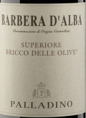 帕拉迪诺酒庄布里科德尔奥利维巴贝拉超级红葡萄酒(Palladino Bricco Delle Olive Barbera, Piedmont, Italy)