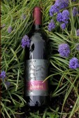 印第安溪星石榴干紅葡萄酒(Indian Creek Winery Star Garnet, Snake River, USA)