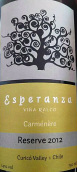 拉爾科埃斯佩蘭薩佳美娜珍藏紅葡萄酒(Ralco Esperanza Carmenere Reserve, Curico Valley, Chile)