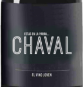 諾丁山酒莊恰瓦爾系列紅葡萄酒(Bodegas Nodus Chaval Tinto, Valencia, Spain)