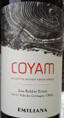 埃米利亞納可雅干紅葡萄酒(Emiliana Coyam Premium Blend, Colchagua Valley, Chile)