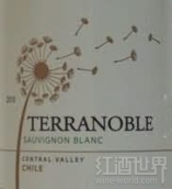 泰瑞貴族長(zhǎng)相思干白葡萄酒(Terra Noble Sauvignon Blanc, Central Valley, Chile)