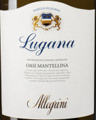 艾格里尼酒庄欧斯曼特利娜露加纳白葡萄酒(Allegrini Oasi Mantellina Lugana, Lombardy, Italy)