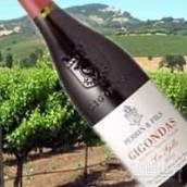 佩蘭酒莊吉恭達斯紅葡萄酒(Perrin & Fils Gigondas, Rhone, France)