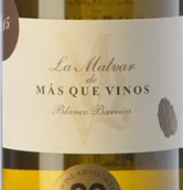 馬斯奎酒莊蒂納哈瑪娃白葡萄酒(Mas Que Vinos La Malvar de Mas que Vinos Blanco en Tinaja, Tierra de Castilla, Spain)