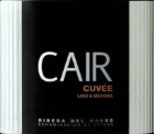 凱爾酒莊凱爾特釀紅葡萄酒(Dominio de Cair Cair Cuvee, Ribera del Duero, Spain)