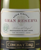 干露酒莊特級珍藏麗貝拉長相思白葡萄酒(Concha y Toro Gran Reserva Serie Riberas Sauvignon Blanc, Rapel Valley, Chile)