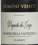 威尼提酒庄贾戈园经典阿玛罗尼红葡萄酒(Domini Veneti Vigneti di Jago Amarone della Valpollicella Classico DOCG, Veneto, Italy)