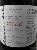 瑟洛斯安邦內(nèi)高級(jí)園鮑得超級(jí)香檳(Jacques Selosse Ambonnay Grand Cru Le Bout du Clos Extra Brut, Champagne, France)