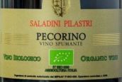 萨拉丁尼·比拉斯特利酒庄佩哥里诺极干型起泡酒(Saladini Pilastri Pecorino Spumante Brut, Marche, Italy)