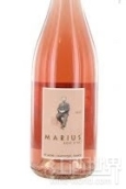 莎普蒂爾酒莊馬呂斯桃紅葡萄酒(M. Chapoutier Marius by Michel Chapoutier Rose, Vin de Pays d'Oc, France)