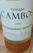 坎博斯酒莊大滿勝半甜白葡萄酒(Domaine Cambos Gros Manseng Moelleux, Cotes de Gascogne, France)