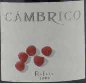 坎布里科酒莊露菲特紅葡萄酒(Vinas del Cambrico Rufete, Salamanca, Spain)