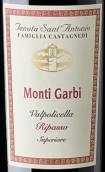 圣安东尼奥酒庄蒙加超级瓦坡里切拉里帕索红葡萄酒(Tenuta Sant'Antonio Monti Garbi Valpolicella Ripasso Superiore, Veneto, Italy)