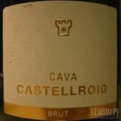 Castellroig Brut Cava, Catalonia, Spain