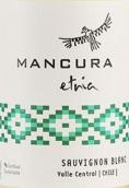 安第斯神鷹家族長(zhǎng)相思白葡萄酒(Mancura Etnia Sauvignon Blanc, Central Valley, Chile)