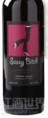 撒西比奇梅洛干紅葡萄酒(Sassy Bitch Merlot, Central Valley, Chile)