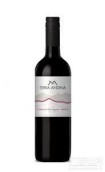 安迪娜赤霞珠梅洛紅葡萄酒(Terra Andina Cabernet Sauvignon - Merlot, Central Valley - Chile)