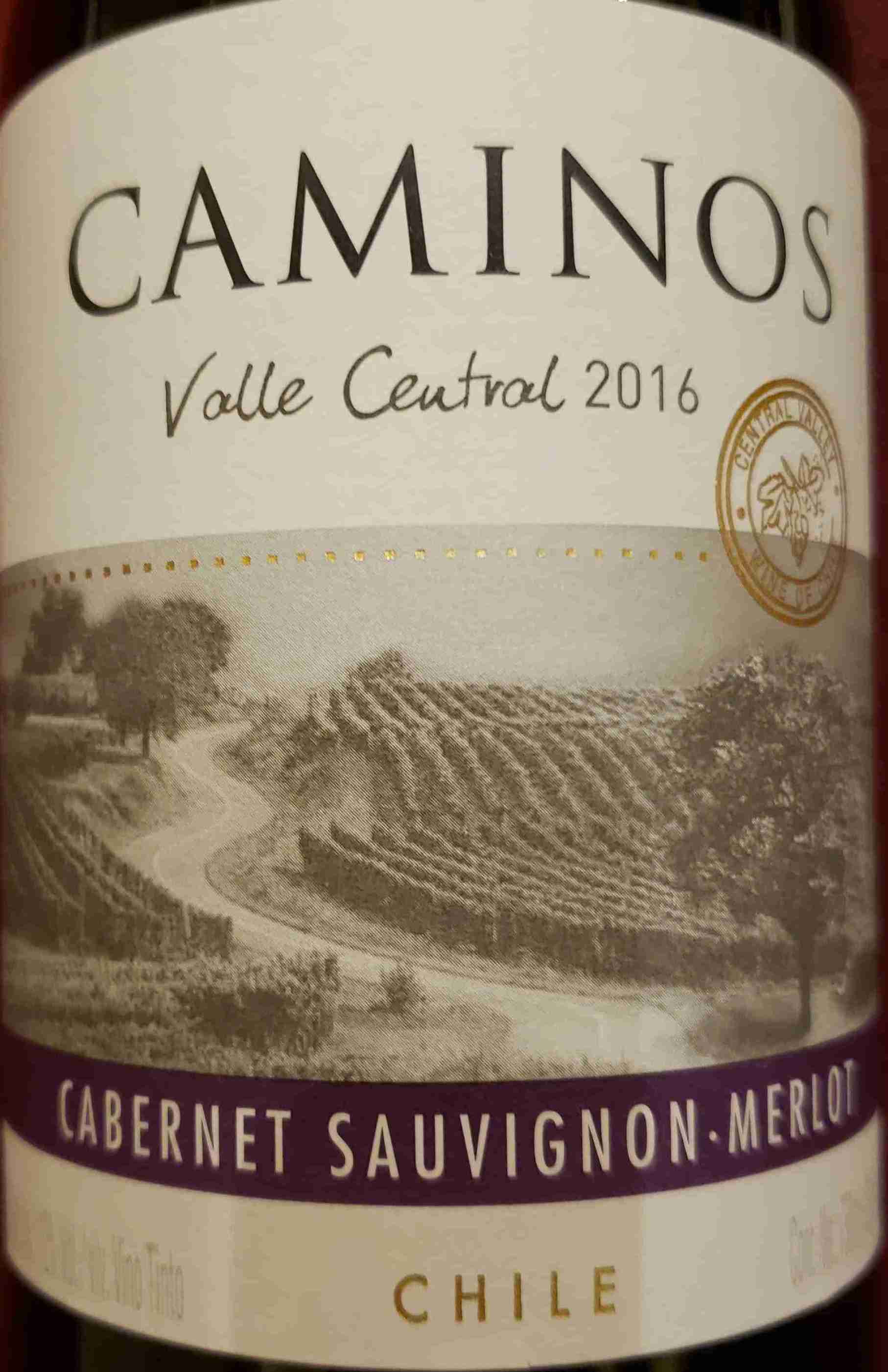 Terra Andina Caminos Cabernet -安迪娜酒庄葡萄酒-价格-评价-中文名-红酒世界网 Merlot, Valley, Chile Central Sauvignon