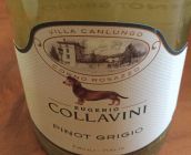 尤金克拉酒莊坎倫戈別墅灰皮諾白葡萄酒(Eugenio Collavini Villa Canlungo Pinot Grigio, Friuli, Italy)