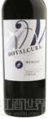 博塔卡拉狂歡珍藏梅洛干紅葡萄酒(Botalcura El Delirio Reserva Merlot, Central Valley, Chile)